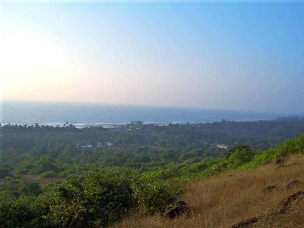 Avalon Inn Mandrem Εξωτερικό φωτογραφία