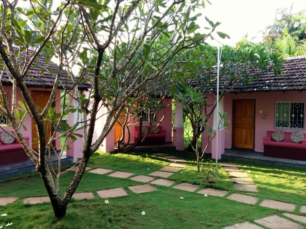 Avalon Inn Mandrem Εξωτερικό φωτογραφία